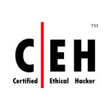 Certified Ethical Hacker (CEH)
